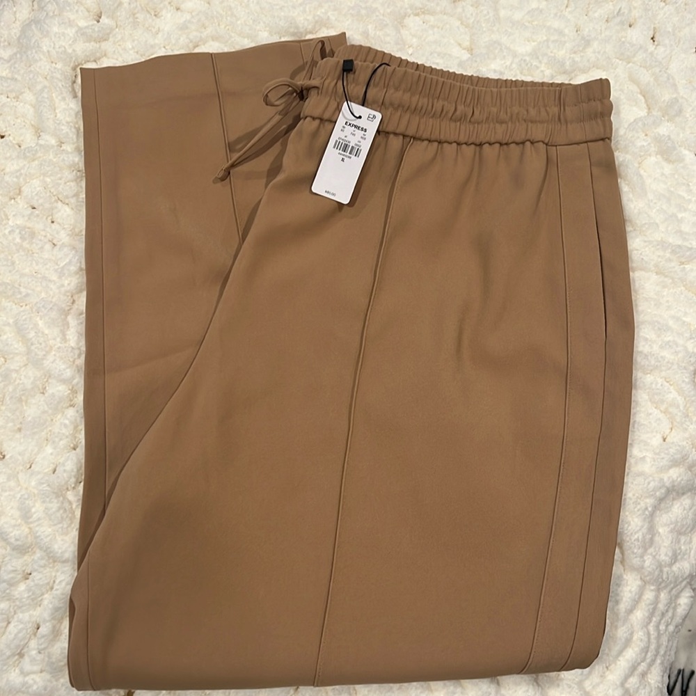 Express XL pleaded pants